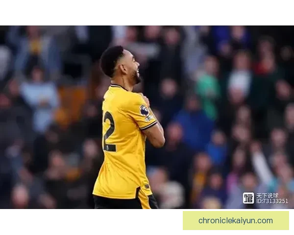 狼队防守体系本赛季表现稳健，失球数位居联赛中上游位